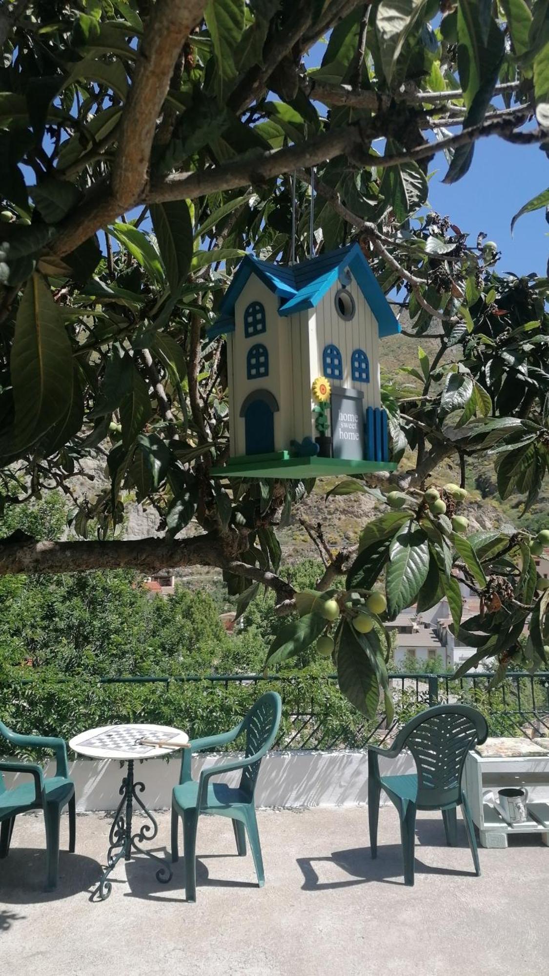 La Casa De La Abuela Apartment Pinos Genil Ngoại thất bức ảnh