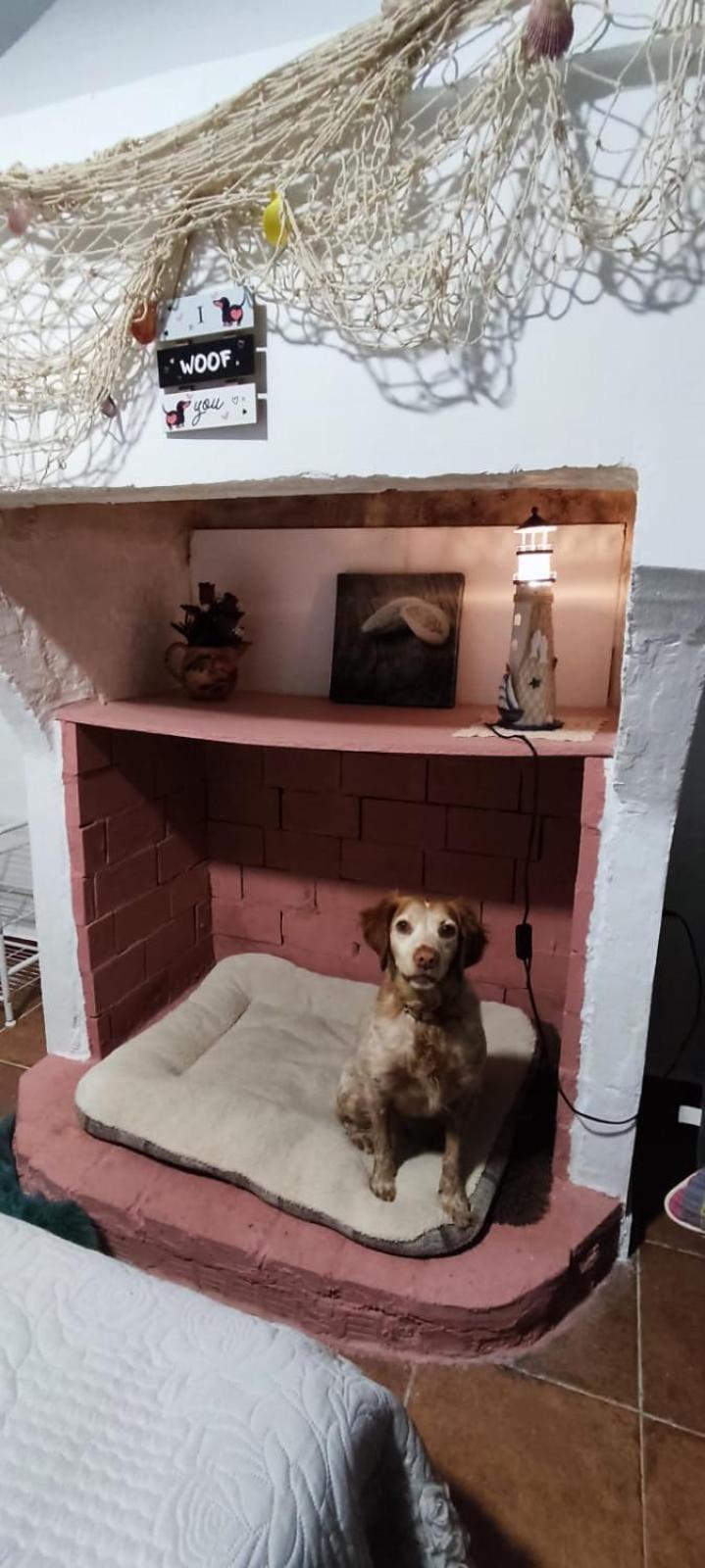 La Casa De La Abuela Apartment Pinos Genil Ngoại thất bức ảnh